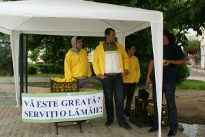 94664_DSC08526 94664_DSC08526