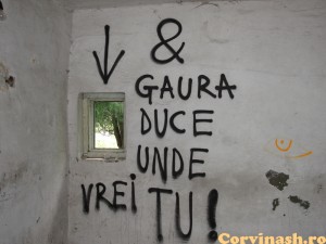 IMG_4152 IMG_4152